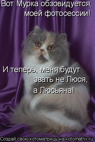Котоматрица: Вот Мурка обзовидуется, моей фотосессии! И теперь, меня будут  звать не Люся,  а Люсьяна!