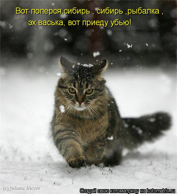 Котоматрица: Вот поперся,сибирь , сибирь ,рыбалка , эх васька, вот приеду убью!