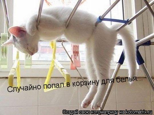 Котоматрица: Случайно попал в корзину для белья...