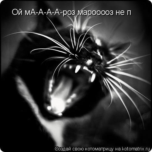 Котоматрица: Ой мА-А-А-А-роз марооооз не п