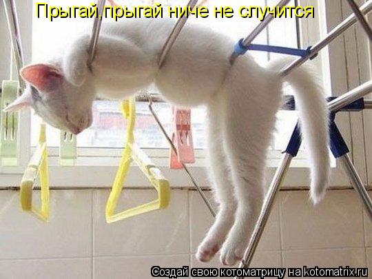 Котоматрица: Прыгай,прыгай ниче не случится