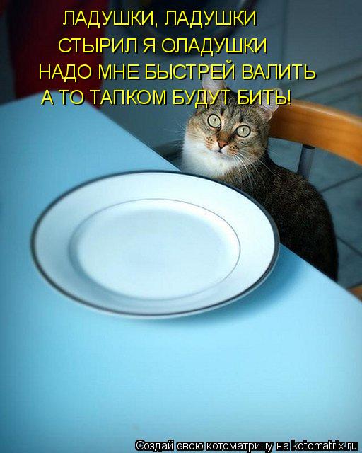 Котоматрица: ЛАДУШКИ, ЛАДУШКИ СТЫРИЛ Я ОЛАДУШКИ НАДО МНЕ БЫСТРЕЙ ВАЛИТЬ А ТО ТАПКОМ БУДУТ БИТЬ!