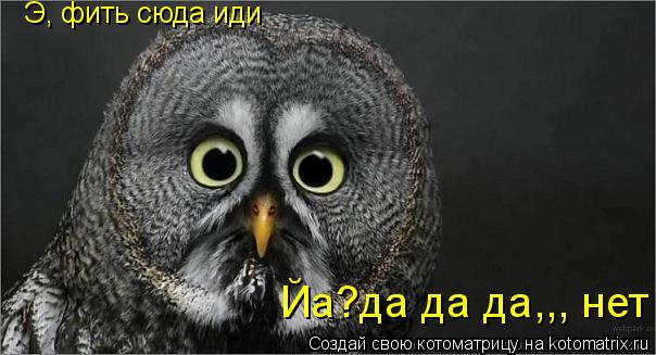 Котоматрица: Э, фить сюда иди Йа?да да да,,, нет