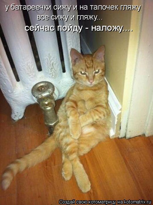 Котоматрица: у батареечки сижу и на тапочек гляжу все сижу и гляжу... сейчас пойду - наложу....