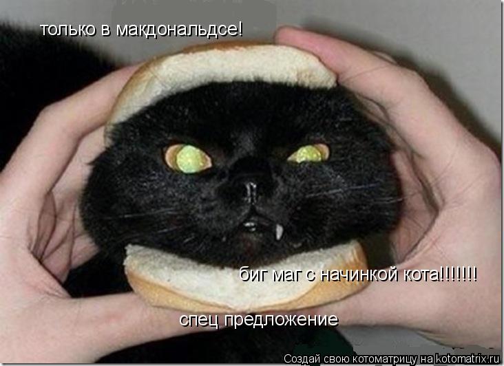 Котоматрица: только в макдональдсе! спец предложение биг маг с начинкой кота!!!!!!!