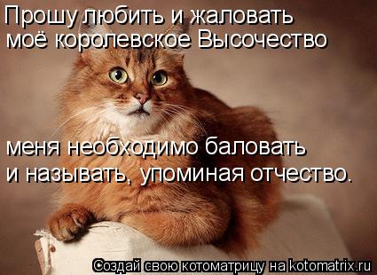 Котоматрица: Прошу любить и жаловать моё королевское Высочество меня необходимо баловать и называть, упоминая отчество.