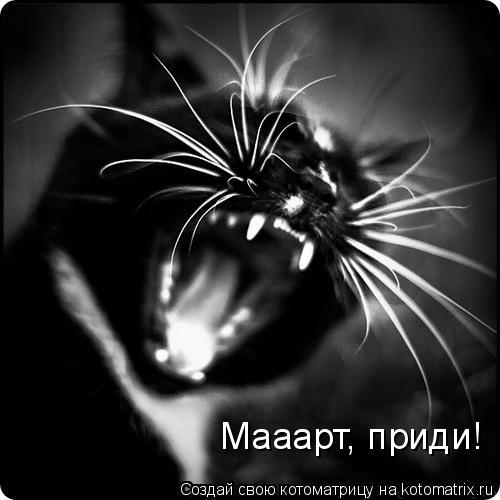 Котоматрица: Мааарт, приди!