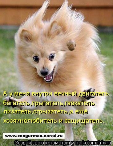 А у меня внутри вечный двигатель бегатель,прыгатель,гавкатель, лизатель,сгрызатель,а ещё хозяинолюбит... Котоматрица: А у меня внутри вечный двигатель бегатель,прыгатель,гавкатель, лизатель,сгрызатель,а ещё хозяинолюбитель и защищатель.