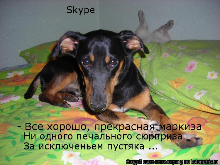 Котоматрица: - Все хорошо, прекрасная маркиза Ни одного печального сюрприза За исключеньем пустяка ... Skype