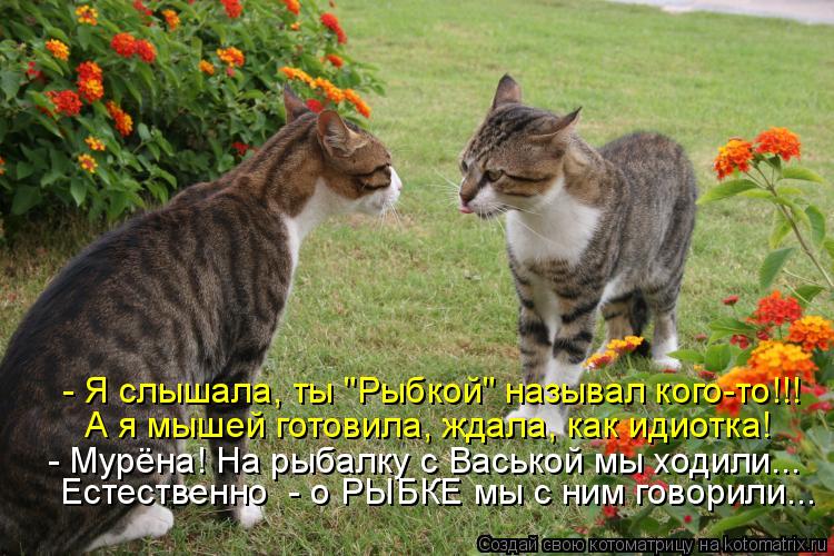 - Я слышала, ты "Рыбкой" называл кого-то!!! А я мышей готовила, ждала, как идиотка! - Мурёна! На рыба... Котоматрица: - Я слышала, ты "Рыбкой" называл кого-то!!! А я мышей готовила, ждала, как идиотка! - Мурёна! На рыбалку с Васькой мы ходили... Естественно - о РЫБК