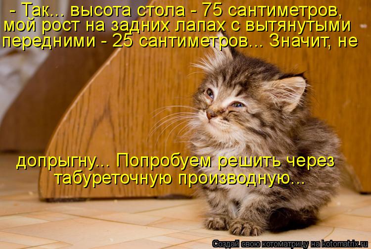 - Так... высота стола - 75 сантиметров, мой рост на задних лапах с вытянутыми передними - 25 сантиме... Котоматрица: - Так... высота стола - 75 сантиметров, мой рост на задних лапах с вытянутыми передними - 25 сантиметров... Значит, не допрыгну... Попробуем решить