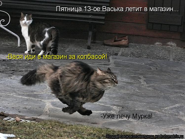 Пятница.13-ое.Васька летит в магазин... -Вася иди в магазин за колбасой! -Уже лечу Мурка!... Котоматрица: Пятница.13-ое.Васька летит в магазин... -Вася иди в магазин за колбасой! -Уже лечу Мурка!