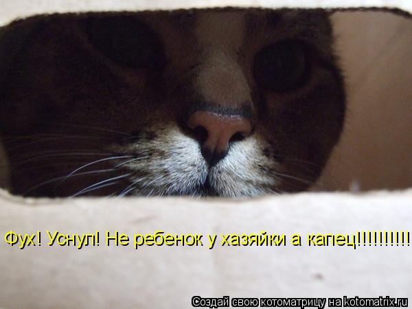 Фух! Уснул! Не ребенок у хазяйки а капец!!!!!!!!!!!!!!!!!!!!!!!... Котоматрица: Фух! Уснул! Не ребенок у хазяйки а капец!!!!!!!!!!!!!!!!!!!!!!!