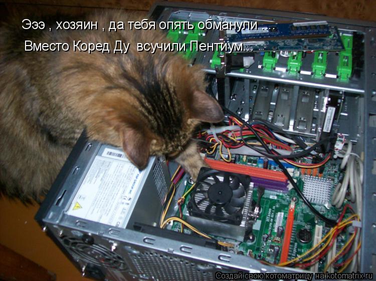 Эээ , хозяин , да тебя опять обманули .... Вместо Коред Ду всучили Пентиум...... Котоматрица: Эээ , хозяин , да тебя опять обманули .... Вместо Коред Ду всучили Пентиум...