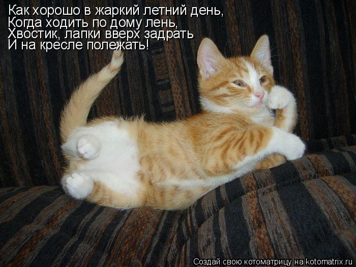 Как хорошо в жаркий летний день, Когда ходить по дому лень, Хвостик, лапки вверх задрать И на кресле ... Котоматрица: Как хорошо в жаркий летний день, Когда ходить по дому лень, Хвостик, лапки вверх задрать И на кресле полежать!