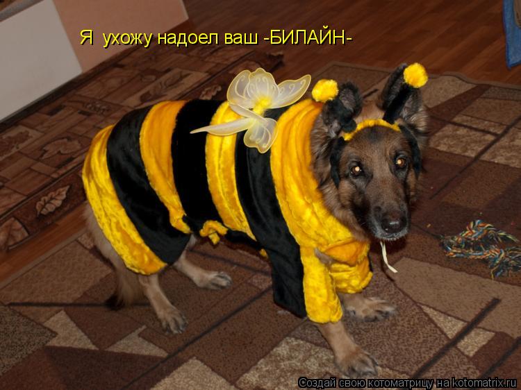 Я ухожу надоел ваш -БИЛАЙН-... Котоматрица: Я ухожу надоел ваш -БИЛАЙН-