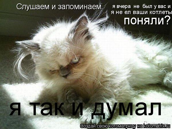 Слушаем и запоминаем. поняли? я так и думал я не ел ваши котлеты я вчера не был у вас и... Котоматрица: Слушаем и запоминаем. поняли? я так и думал я не ел ваши котлеты я вчера не был у вас и