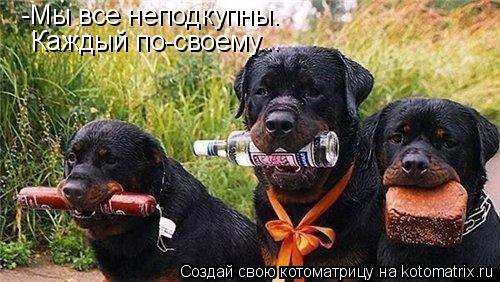 -Мы все неподкупны. Каждый по-своему...... Котоматрица: -Мы все неподкупны. Каждый по-своему...