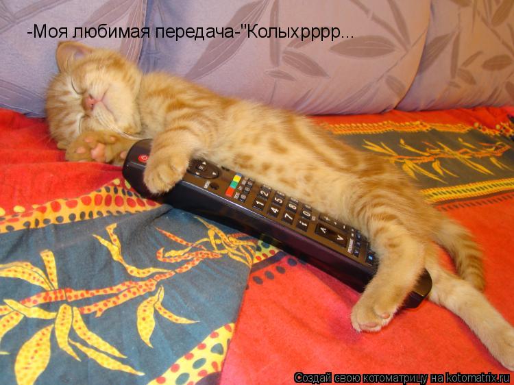 -Моя любимая передача-"Колыхрррр...... Котоматрица: -Моя любимая передача-"Колыхрррр...