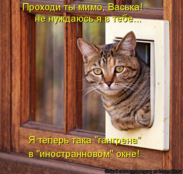 Проходи ты мимо, Васька! не нуждаюсь я в тебе... Я теперь така "гангрена" в "иностранновом" окне!... Котоматрица: Проходи ты мимо, Васька! не нуждаюсь я в тебе... Я теперь така "гангрена" в "иностранновом" окне!