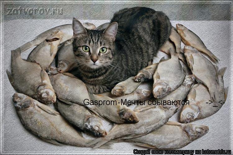 Gasprom-Мечты сбываются ->_<-... Котоматрица: Gasprom-Мечты сбываются ->_<-