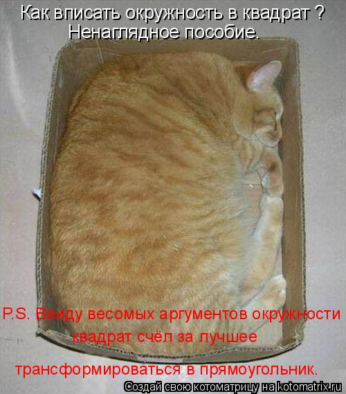 Как вписать окружность в квадрат ? Ненаглядное пособие. P.S. Ввиду весомых аргументов окружности квад... Котоматрица: Как вписать окружность в квадрат ? Ненаглядное пособие. P.S. Ввиду весомых аргументов окружности квадрат счёл за лучшее трансформироваться