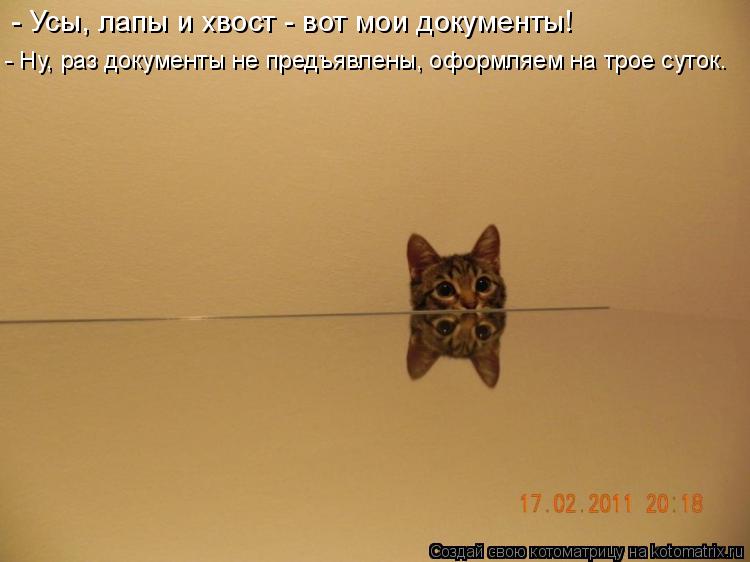 - Усы, лапы и хвост - вот мои документы! - Ну, раз документы не предъявлены, оформляем на трое суток... Котоматрица: - Усы, лапы и хвост - вот мои документы! - Ну, раз документы не предъявлены, оформляем на трое суток.