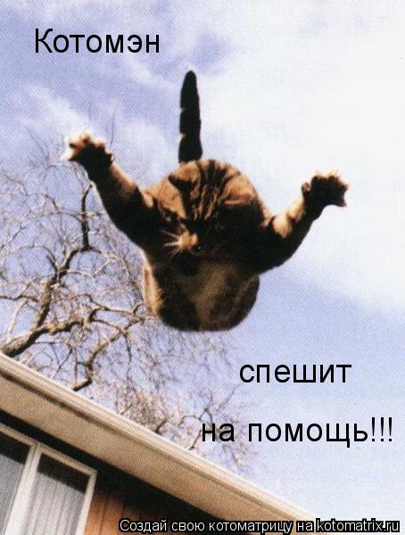Котомэн спешит на помощь!!!... Котоматрица: Котомэн спешит на помощь!!!