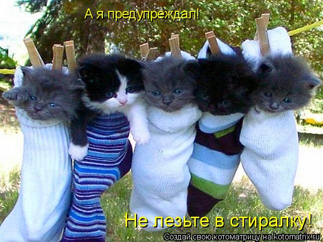 А я предупреждал! Не лезьте в стиралку!... Котоматрица: А я предупреждал! Не лезьте в стиралку!