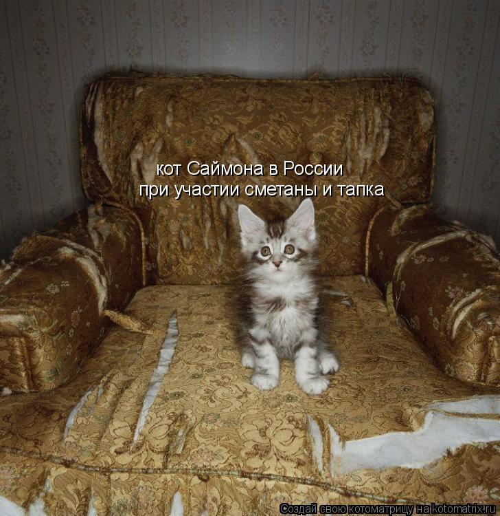 кот Саймона в России при участии сметаны и тапка... Котоматрица: кот Саймона в России при участии сметаны и тапка