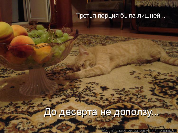 Третья порция была лишней!.. До десерта не доползу...... Котоматрица: Третья порция была лишней!.. До десерта не доползу...