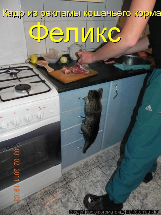 Кадр из рекламы кошачьего корма Феликс... Котоматрица: Кадр из рекламы кошачьего корма Феликс