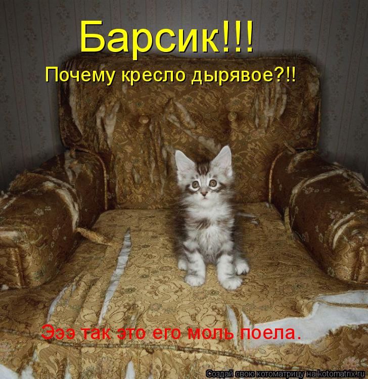 Барсик!!! Почему кресло дырявое?!! Эээ так это его моль поела.... Котоматрица: Барсик!!! Почему кресло дырявое?!! Эээ так это его моль поела.