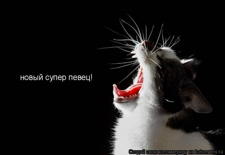 новый супер певец!... Котоматрица: новый супер певец!