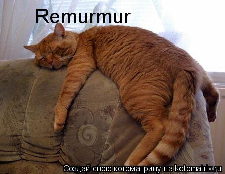 Remurmur... Котоматрица: Remurmur