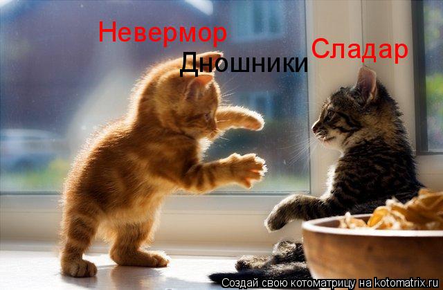Невермор Сладар Дношники... Котоматрица: Невермор Сладар Дношники