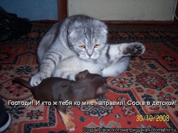 Господи! И кто ж тебя ко мне направил! Соска в детской! Господи! И кто ж тебя ко мне направил! Соска ... Котоматрица: Господи! И кто ж тебя ко мне направил! Соска в детской! Господи! И кто ж тебя ко мне направил! Соска в детской!