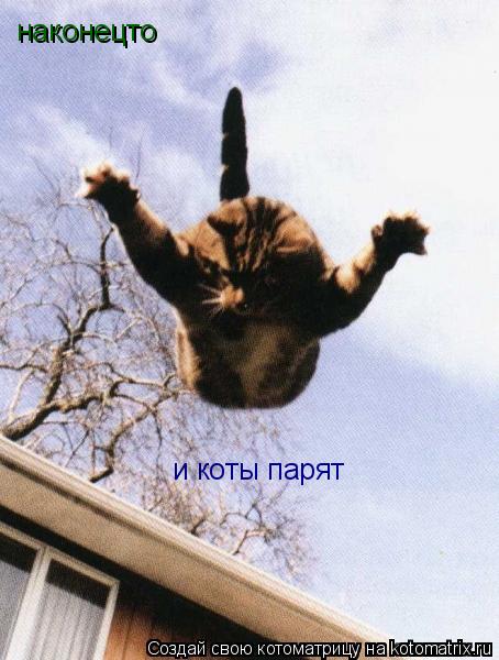 наконецто и коты парят... Котоматрица: наконецто и коты парят