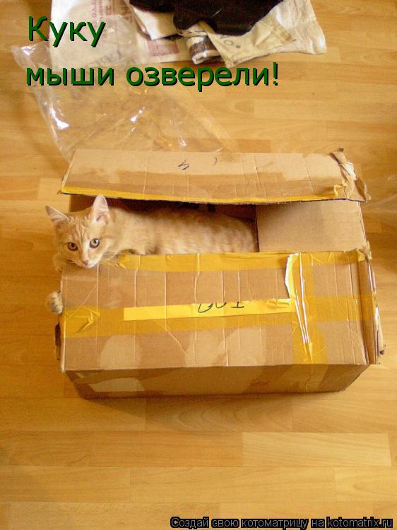 мыши озверели! Куку... Котоматрица: мыши озверели! Куку