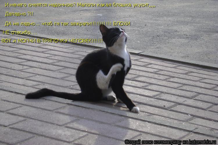 И нечего смеятся надомною? Малоли какая блошка укусит,,,, Даладно ?!! ДА не ладно... чтоб тя так зажр... Котоматрица: И нечего смеятся надомною? Малоли какая блошка укусит,,,, Даладно ?!! ДА не ладно... чтоб тя так зажрали!!!!!!!!!!! БЛОХИ НЕ спасибо.... ВОТ и МОЛЧИ В