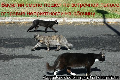 Василий смело пошёл по встречной полосе, отправив неприятности на обочину... Котоматрица: Василий смело пошёл по встречной полосе, отправив неприятности на обочину