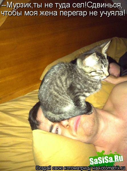 --Мурзик,ты не туда сел!Сдвинься, чтобы моя жена перегар не учуяла!... Котоматрица: --Мурзик,ты не туда сел!Сдвинься, чтобы моя жена перегар не учуяла!