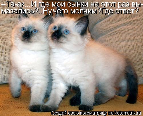 --Та-ак...И где мои сынки на этот раз вы- мазались?..Ну,чего молчим?Где ответ?... Котоматрица: --Та-ак...И где мои сынки на этот раз вы- мазались?..Ну,чего молчим?Где ответ?