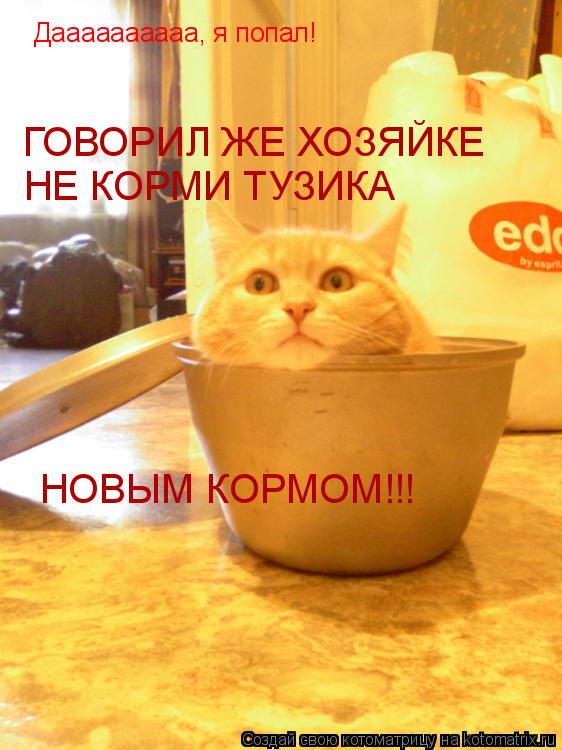 Даааааааааа, я попал! ГОВОРИЛ ЖЕ ХОЗЯЙКЕ НЕ КОРМИ ТУЗИКА НОВЫМ КОРМОМ!!!... Котоматрица: Даааааааааа, я попал! ГОВОРИЛ ЖЕ ХОЗЯЙКЕ НЕ КОРМИ ТУЗИКА НОВЫМ КОРМОМ!!!
