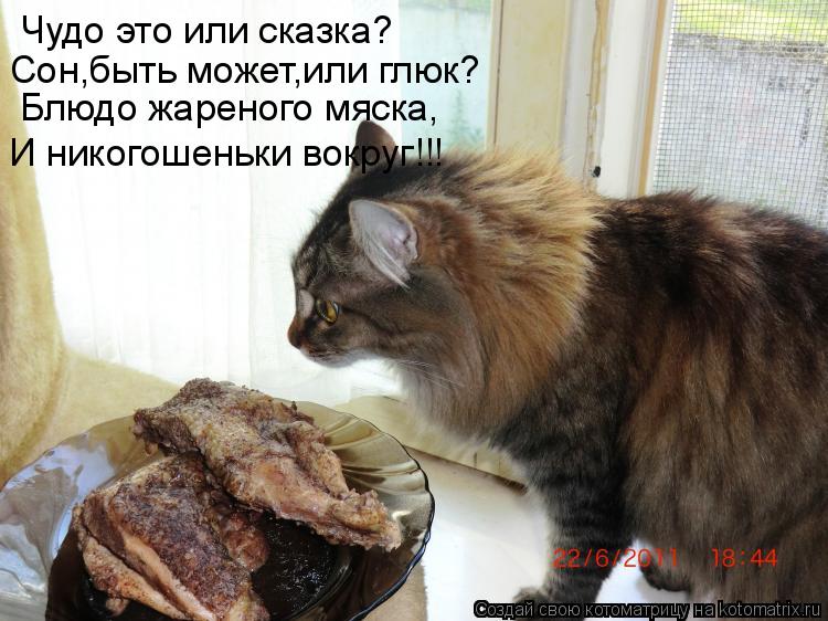 Чудо это или сказка? Сон,быть может,или глюк? Блюдо жареного мяска, И никогошеньки вокруг!!!... Котоматрица: Чудо это или сказка? Сон,быть может,или глюк? Блюдо жареного мяска, И никогошеньки вокруг!!!