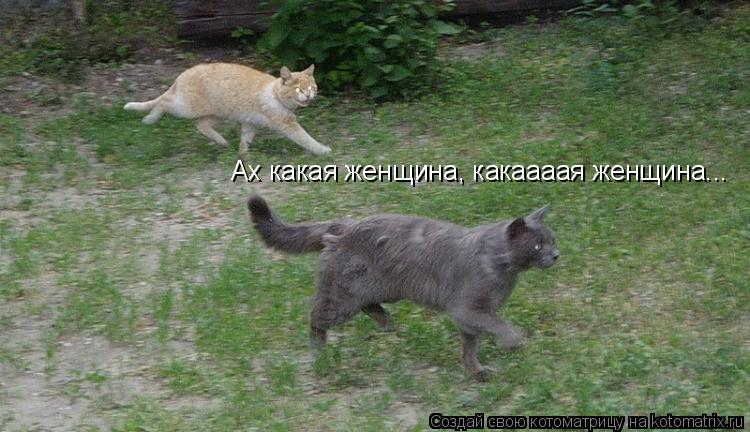 Ах какая женщина, какаааая женщина...... Котоматрица: Ах какая женщина, какаааая женщина...