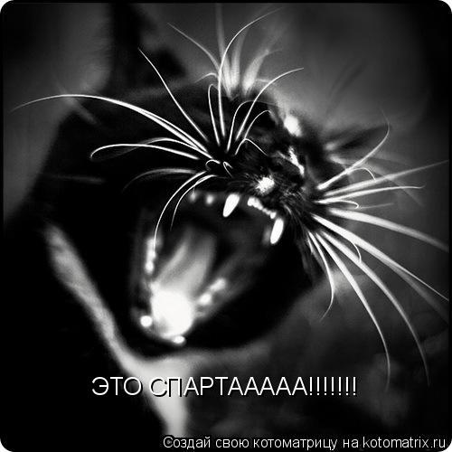 ЭТО СПАРТААААА!!!!!!!... Котоматрица: ЭТО СПАРТААААА!!!!!!!