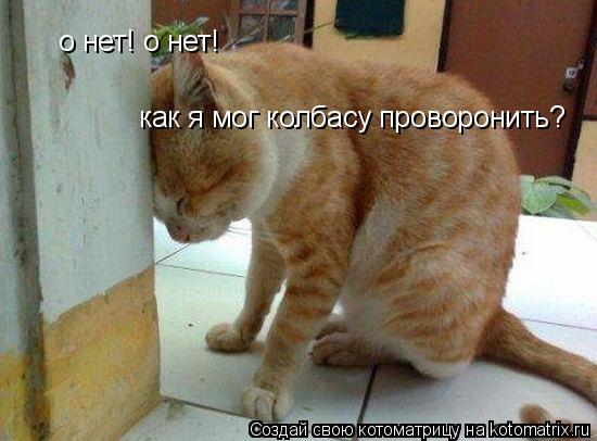 о нет! о нет! как я мог колбасу проворонить?... Котоматрица: о нет! о нет! как я мог колбасу проворонить?