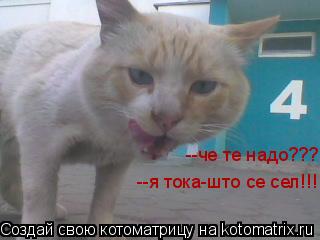 --че те надо??? --я тока-што се сел!!!... Котоматрица: --че те надо??? --я тока-што се сел!!!