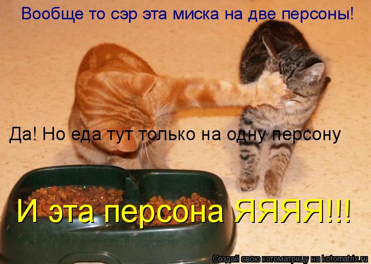Вообще то сэр эта миска на две персоны! Да! Но еда тут только на одну персону И эта персона ЯЯЯЯ!!... Котоматрица: Вообще то сэр эта миска на две персоны! Да! Но еда тут только на одну персону И эта персона ЯЯЯЯ!!!